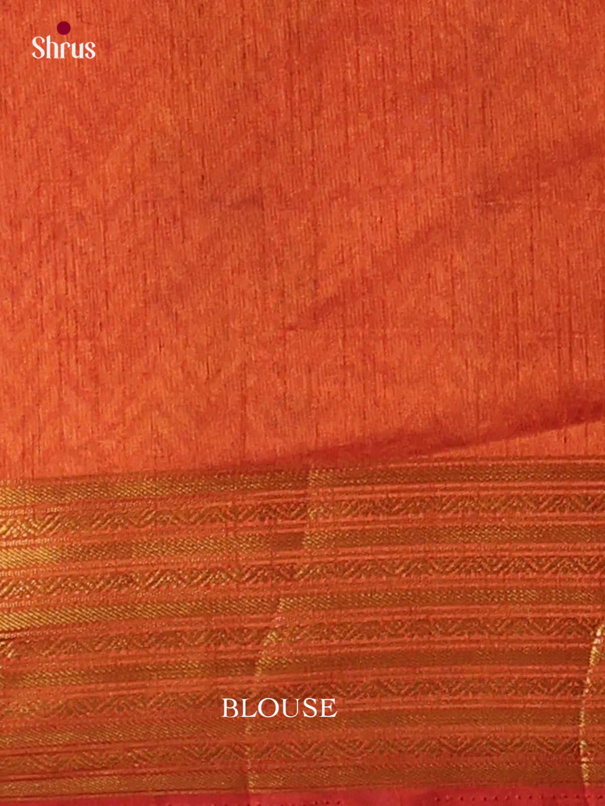 EAS12235 - Semi Patola-Regular Border Saree