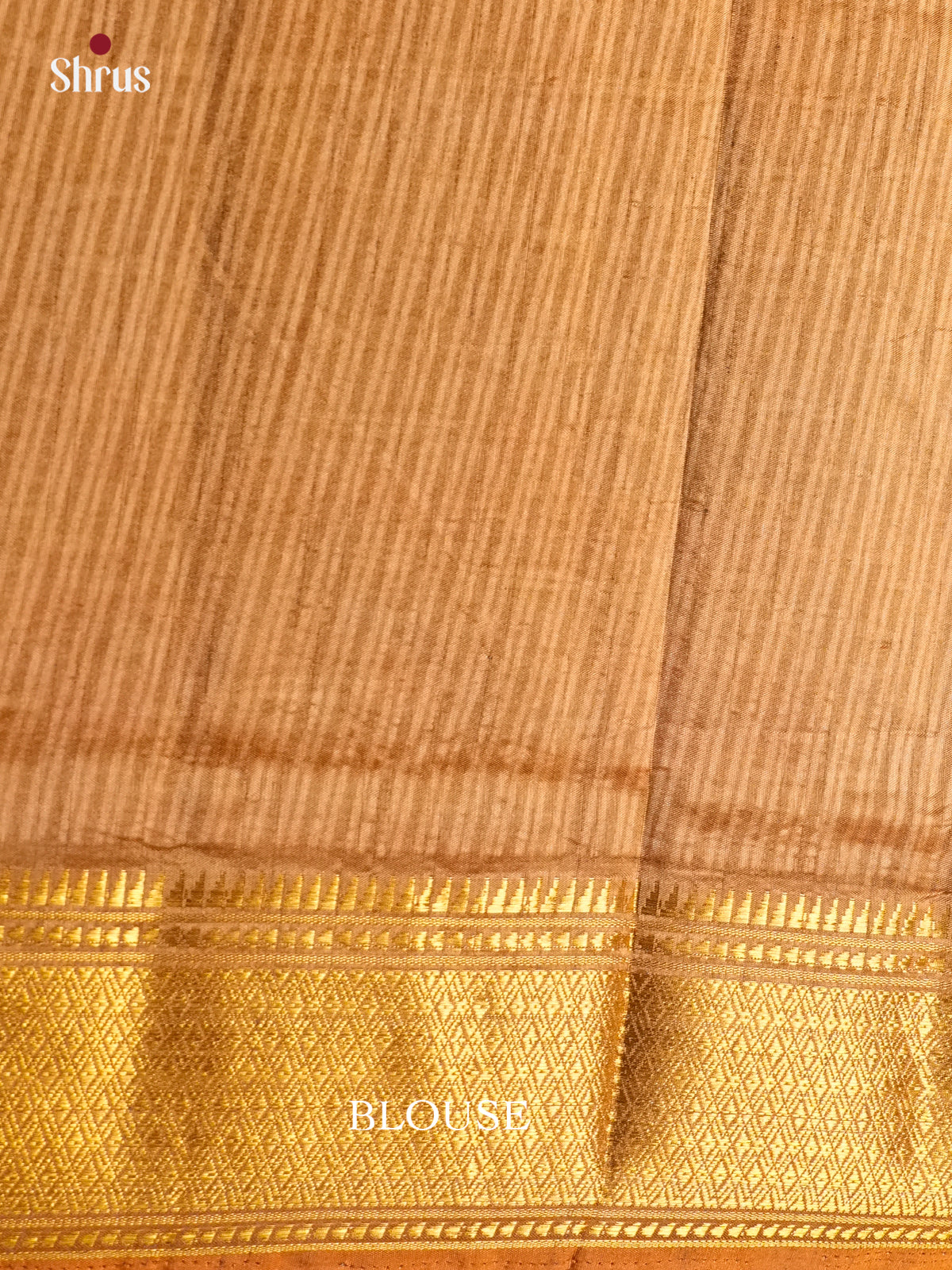 EAS12251 - Semi Patola-Regular Border Saree - Shop on Shrus.com
