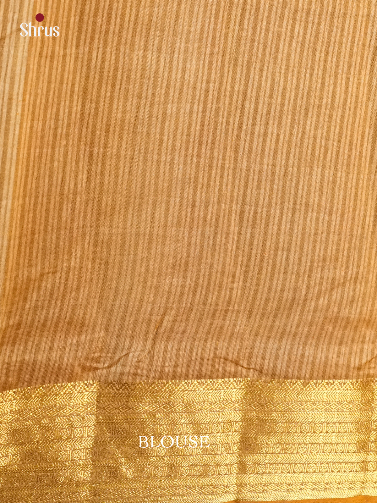 EAS12252 - Semi Patola-Regular Border Saree - Shop on Shrus.com