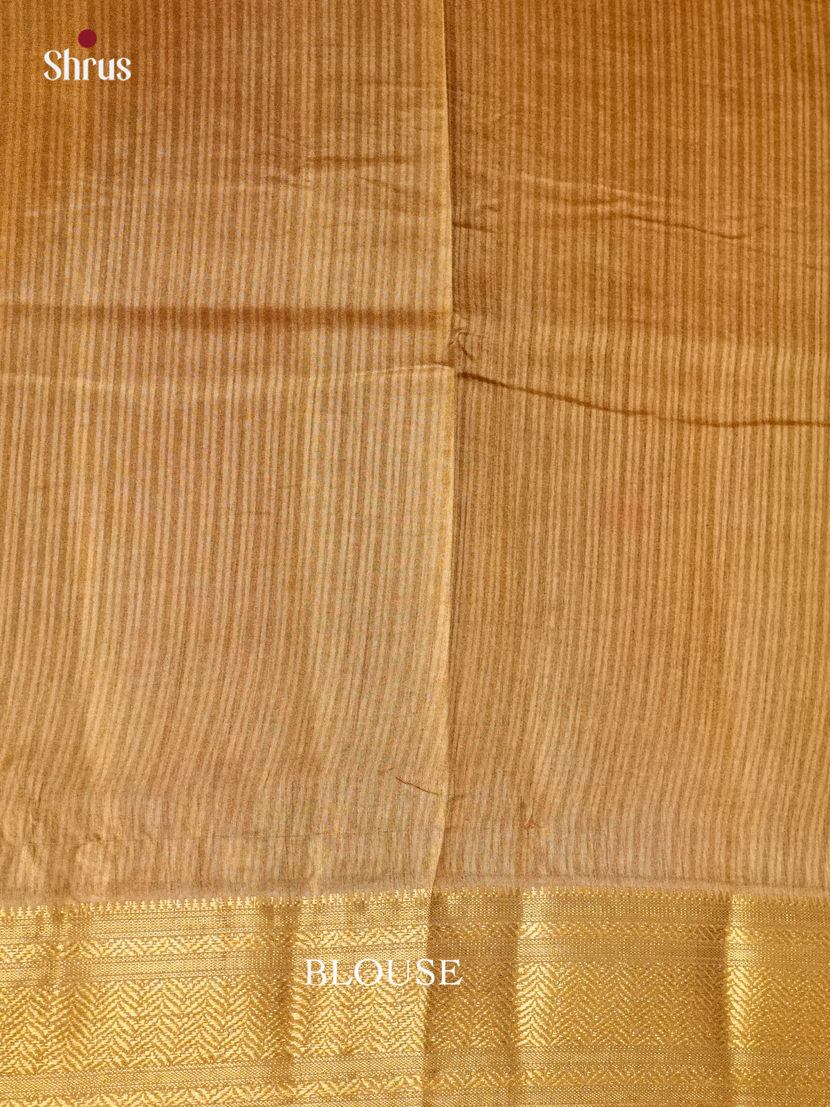 EAS12253 - Semi Patola-Regular Border Saree - Shop on Shrus.com