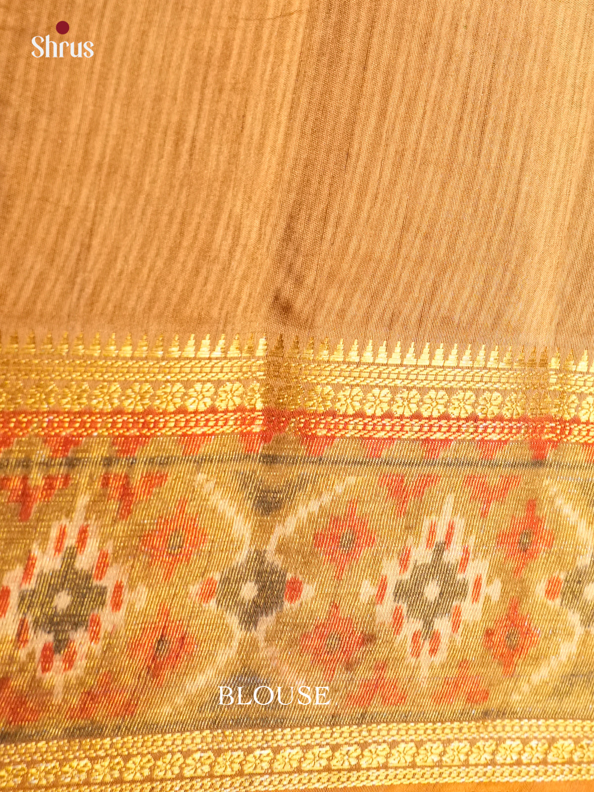 EAS12263 - Semi Patola -Rettapet border Saree