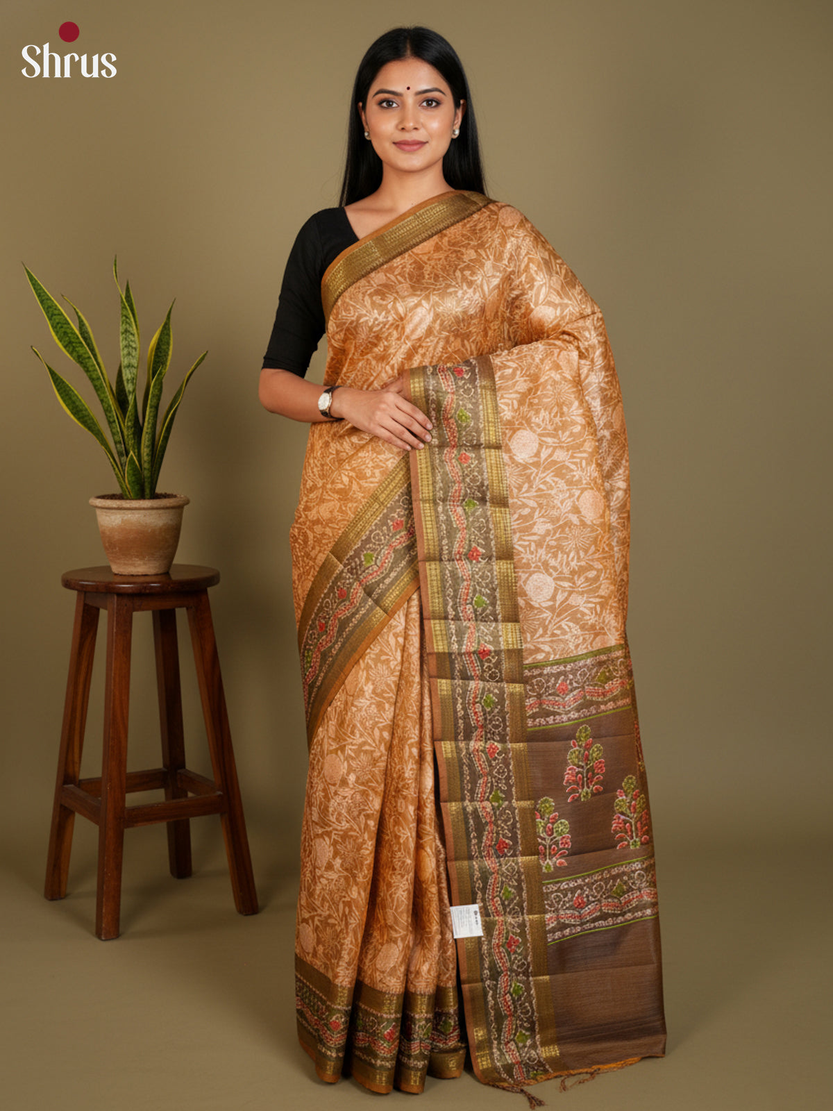 EAS12264 - Semi Patola -Rettapet border Saree