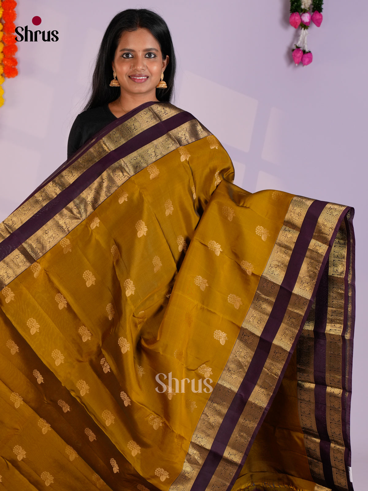 EAS12347 - Kanchipuram-halfpure Saree - Shop on Shrus.com