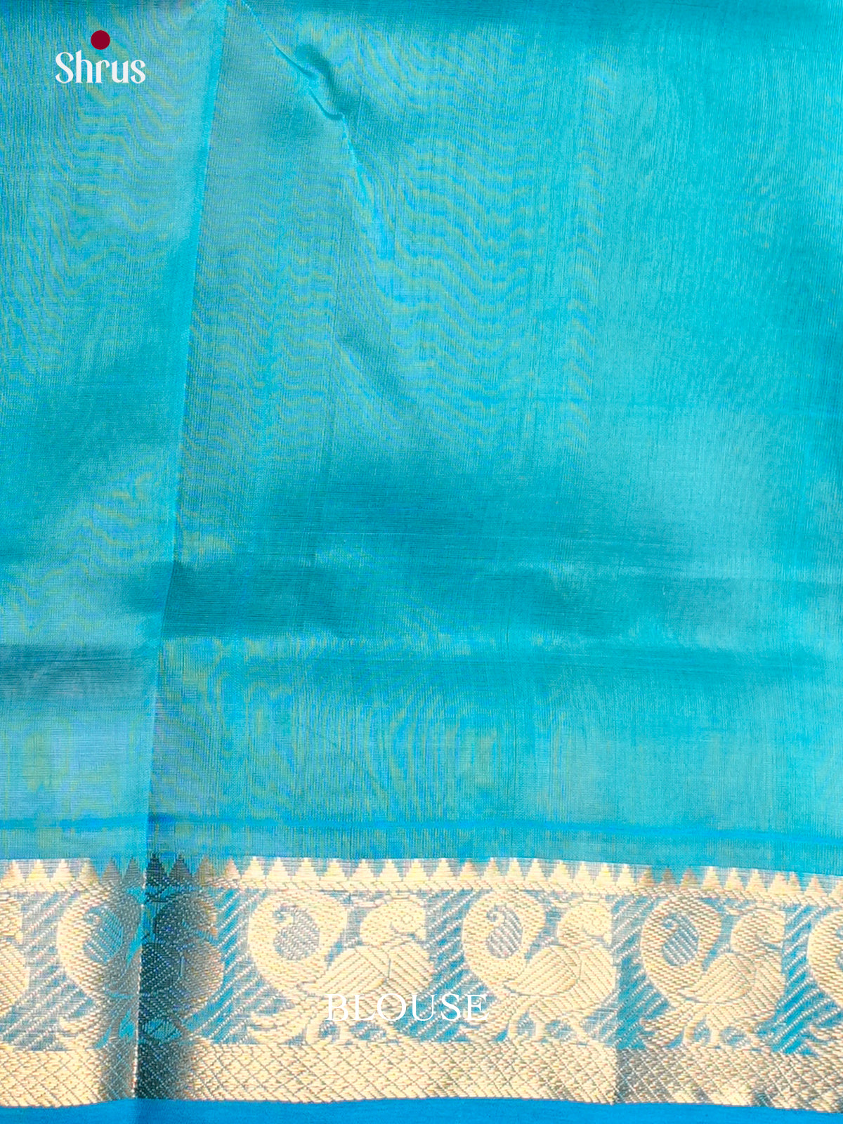 Buy Pretty Light Green Saree Online with Buttas & Sky Blue Border With Peacock Motifs