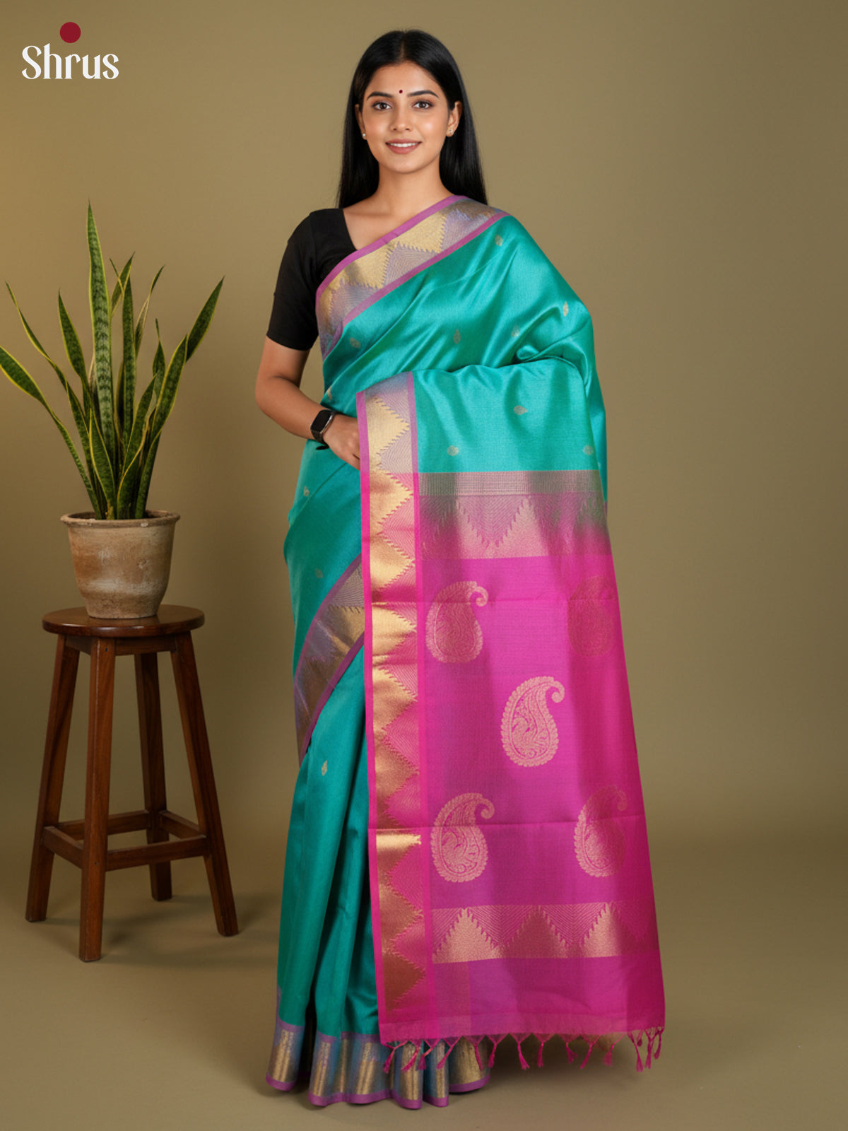 EAS13439 - silkcotton 9yards Saree - Shop on Shrus.com