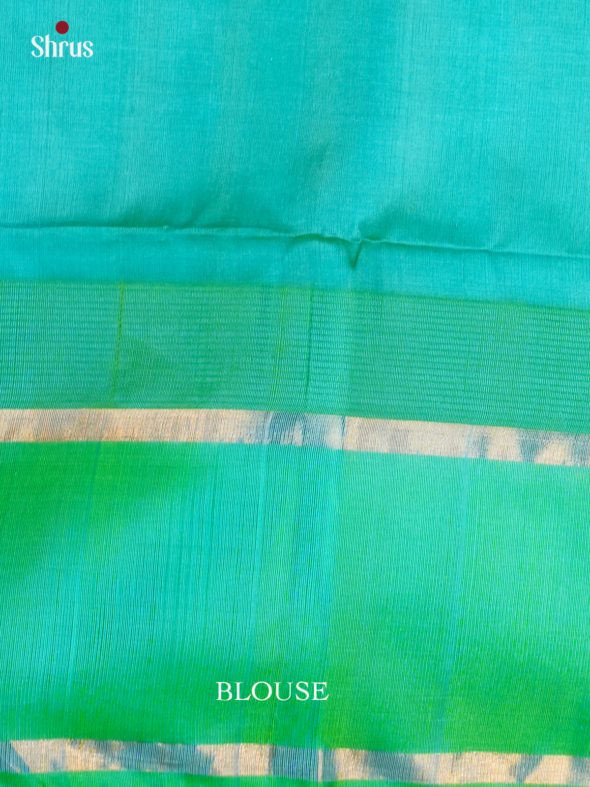 Glorious Yellow & Teal Green Silk Cotton with zari elephant motifs border - EAS19019