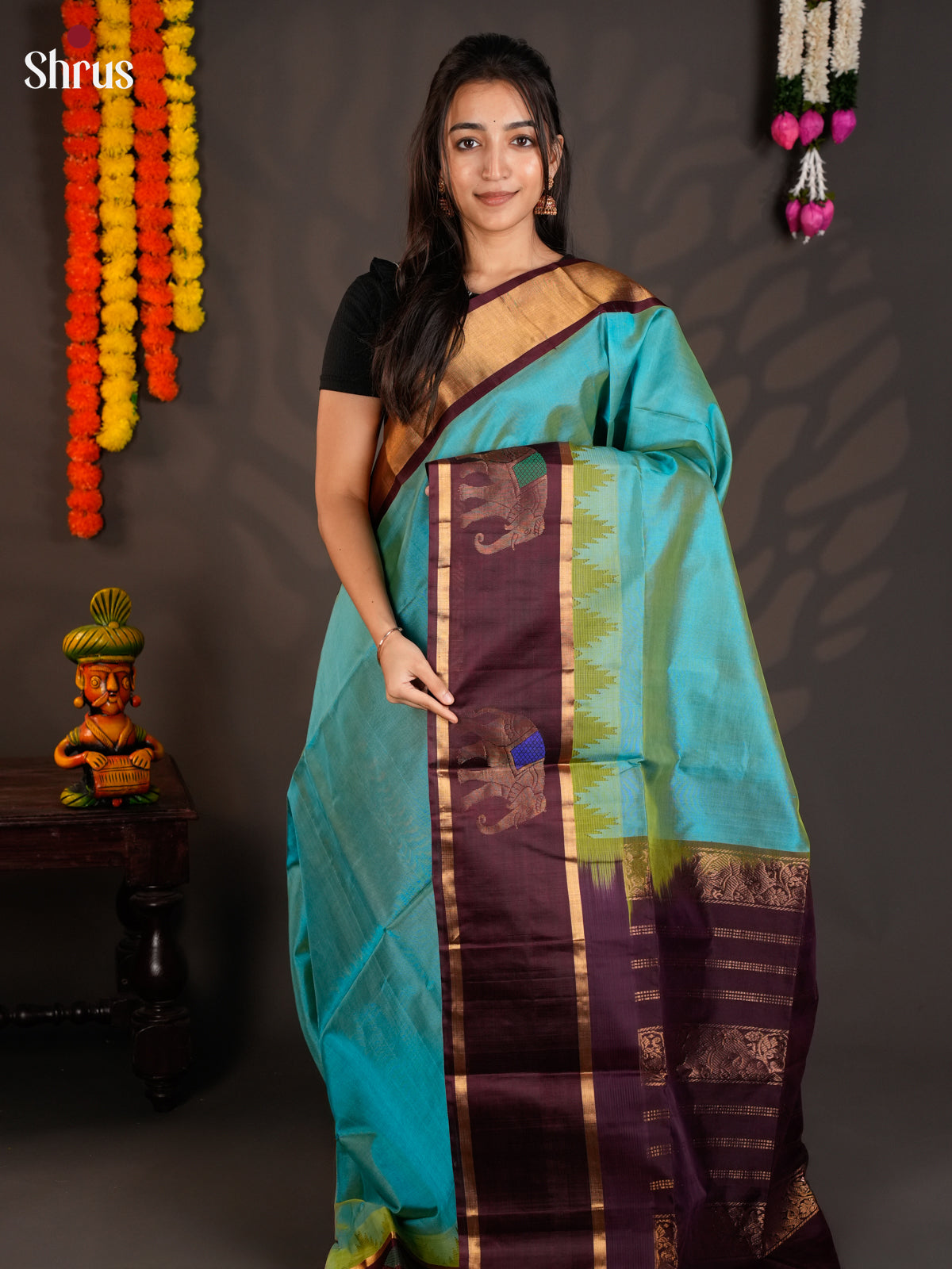 elegant Blue & Brown Silk cotton saree with elephant motifs border - EAS19022