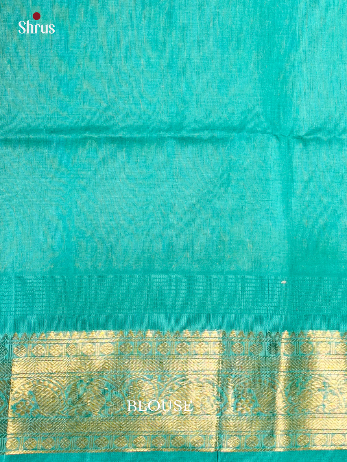 Charming Pink & Teal Silk cotton saree  with zari kattam & Korvai border -EAS19035