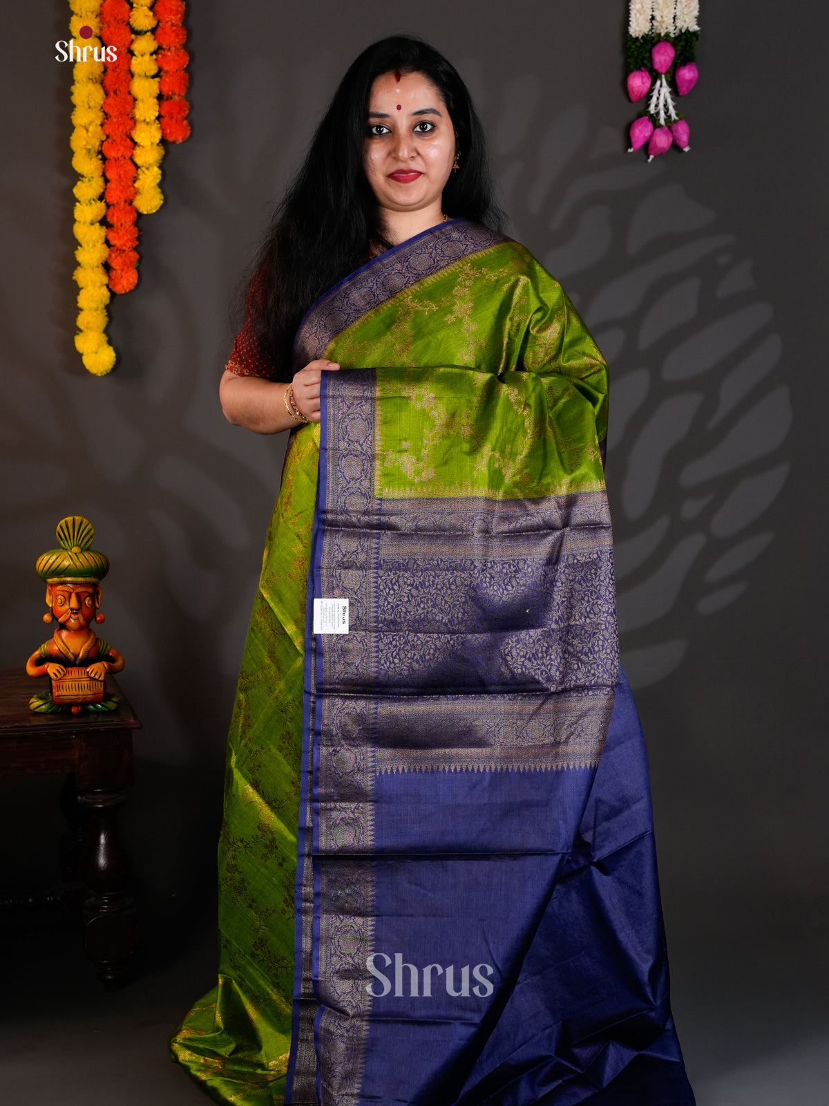 Serene Green & Blue  Banarasi Tussar Saree with criss cross floral vines checks - EAS20029 - Shop on Shrus.com