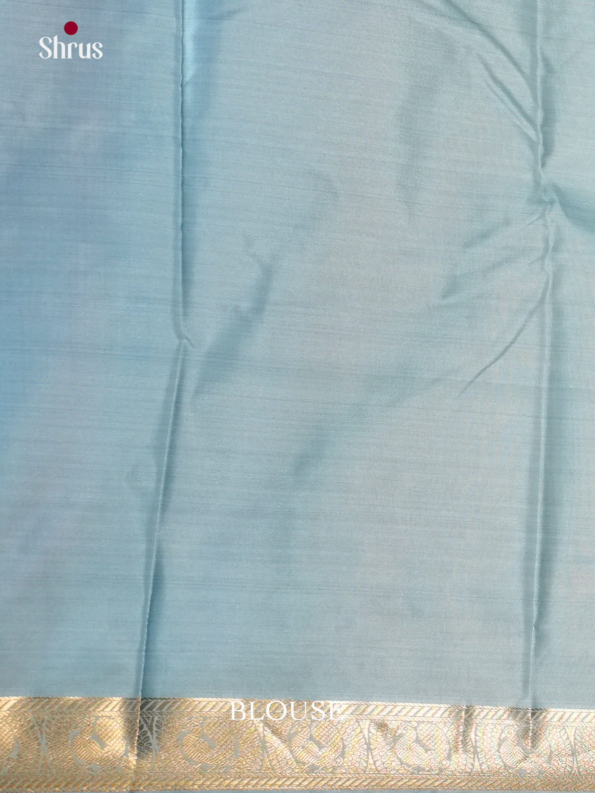 Light Blue - Kanchipuram-halfpure Saree- EAS21215 - Shop on Shrus.com