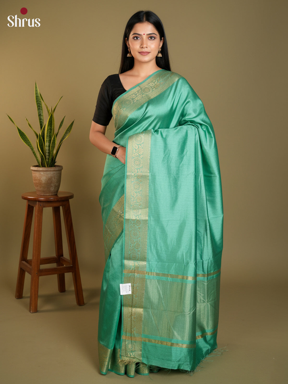 Pastel green - Semi Rawsilk Saree - EAS21260 - Shop on Shrus.com