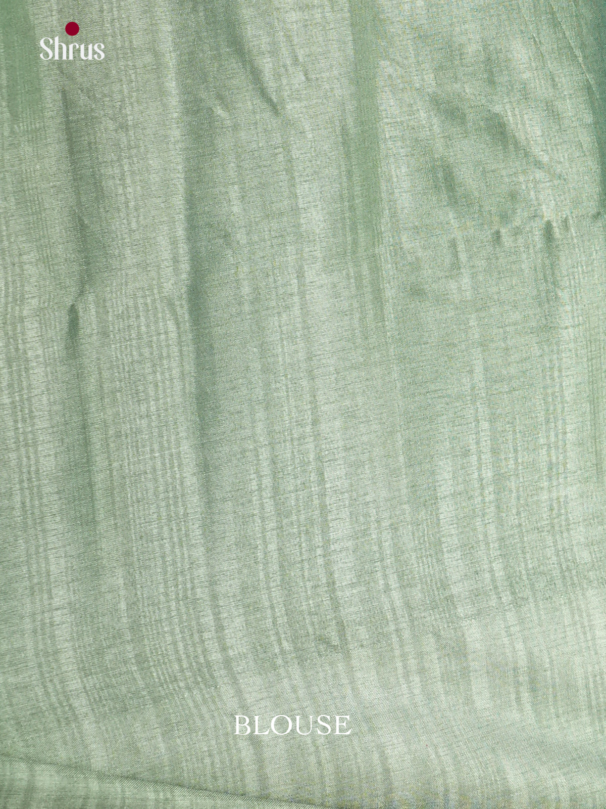 Pastel Green  - Semi Rawsilk - Saree- EAS22016 - Shop on Shrus.com