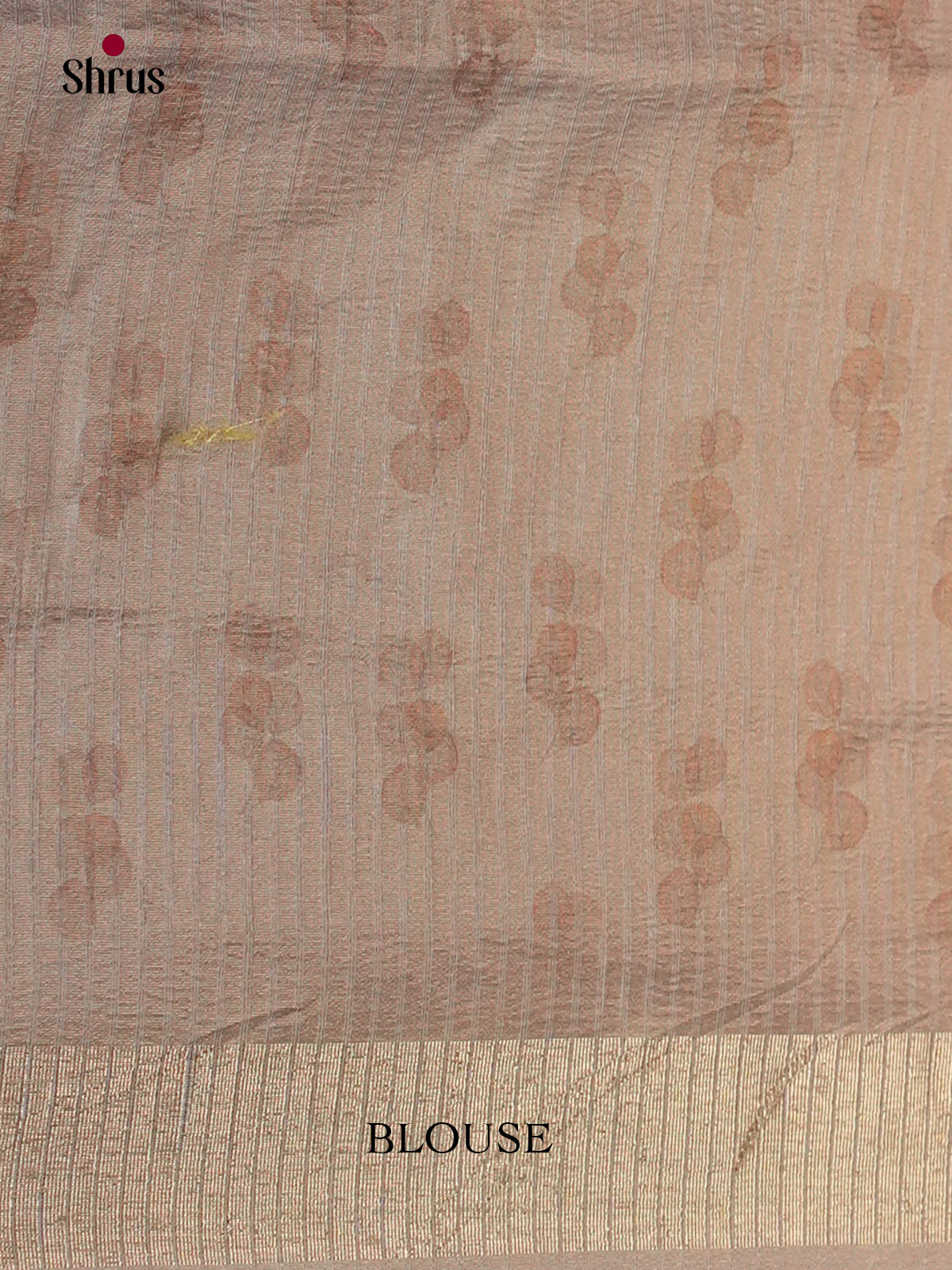Grey - Semi Rawsilk - Saree -EAS22048 - Shop on Shrus.com