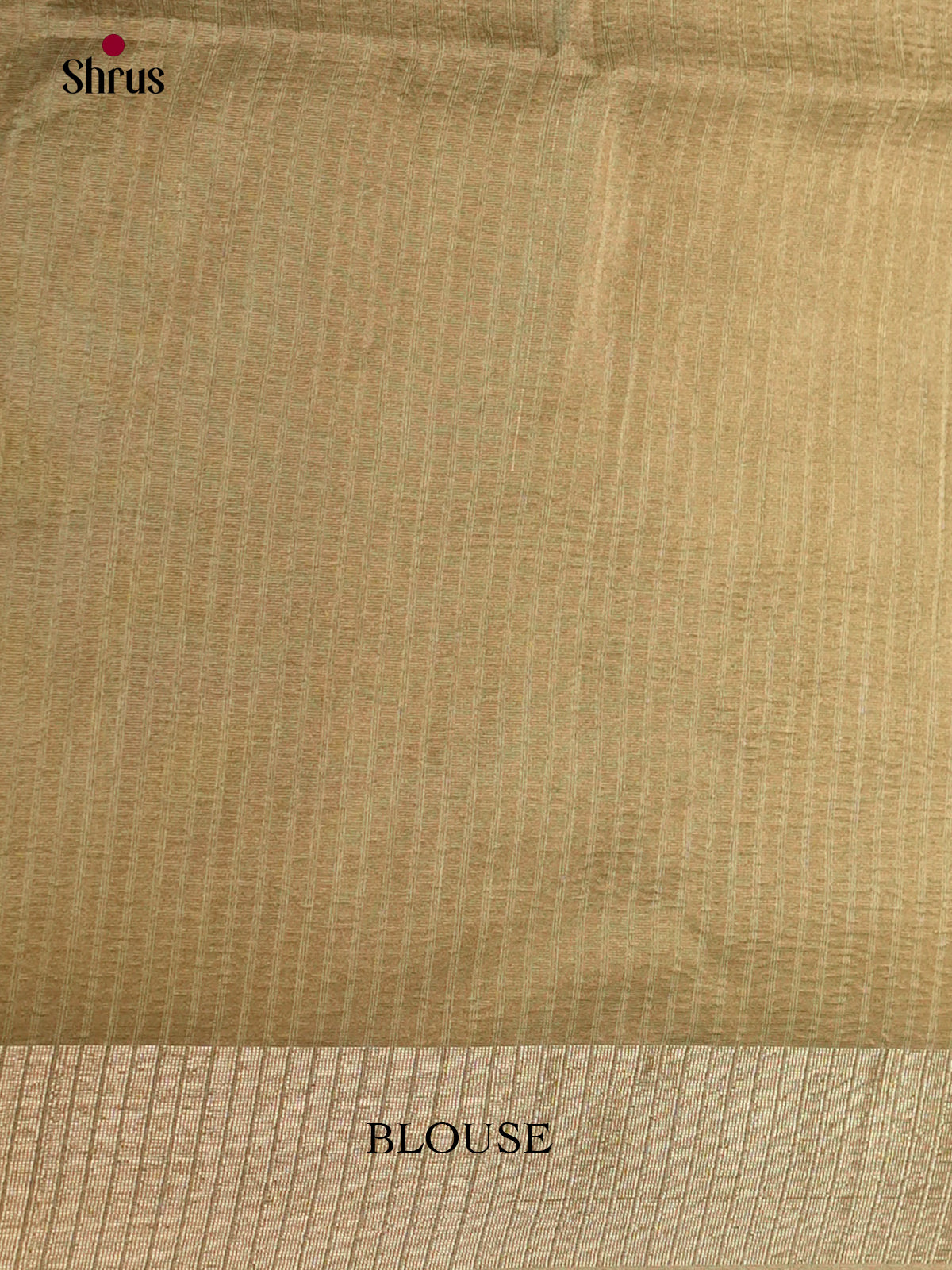 Grey  - Semi Rawsilk - Saree- EAS22066 - Shop on Shrus.com
