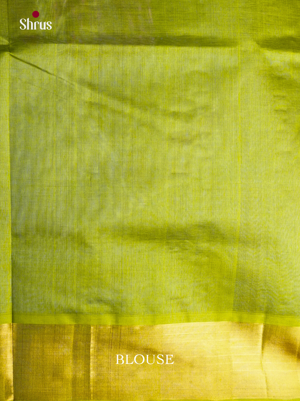 Beautiful Blue Saree with Floral Buttas & Light Green Kaddi Zari Border From Shrus.com
