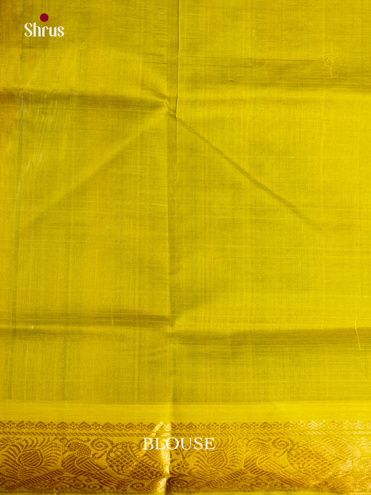 Buy Vibrant Blue Saree with Floral Motifs & Light Green Zari Woven Pallu