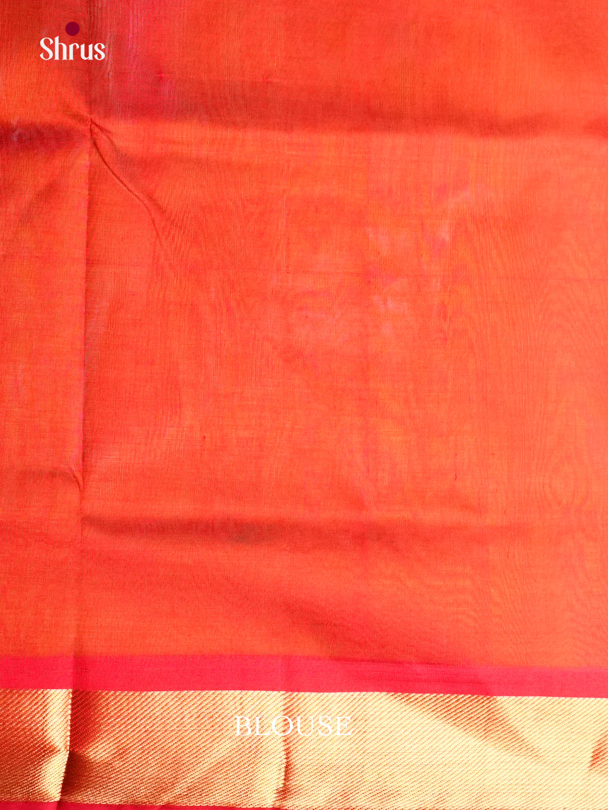 Buy Light Green Saree with Gold Floral Motifs & Orange Kaddi Zari Border 