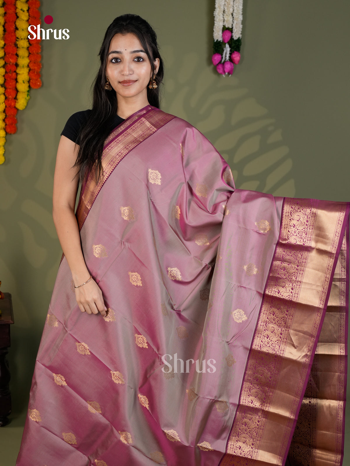 EAS28098 - Kanchipuram-halfpure - Saree - Shop on Shrus.com