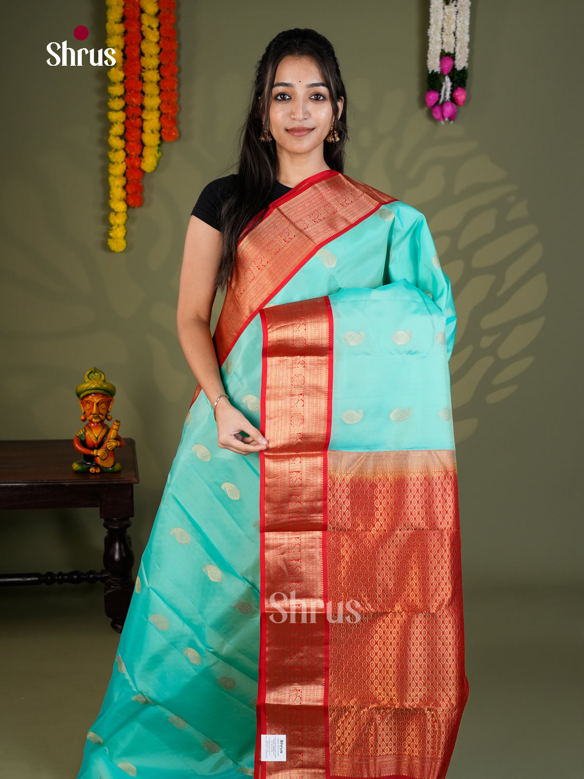 Sky Blue & red  - Kanchipuram-halfpure - Saree- EAS28159 - Shop on Shrus.com