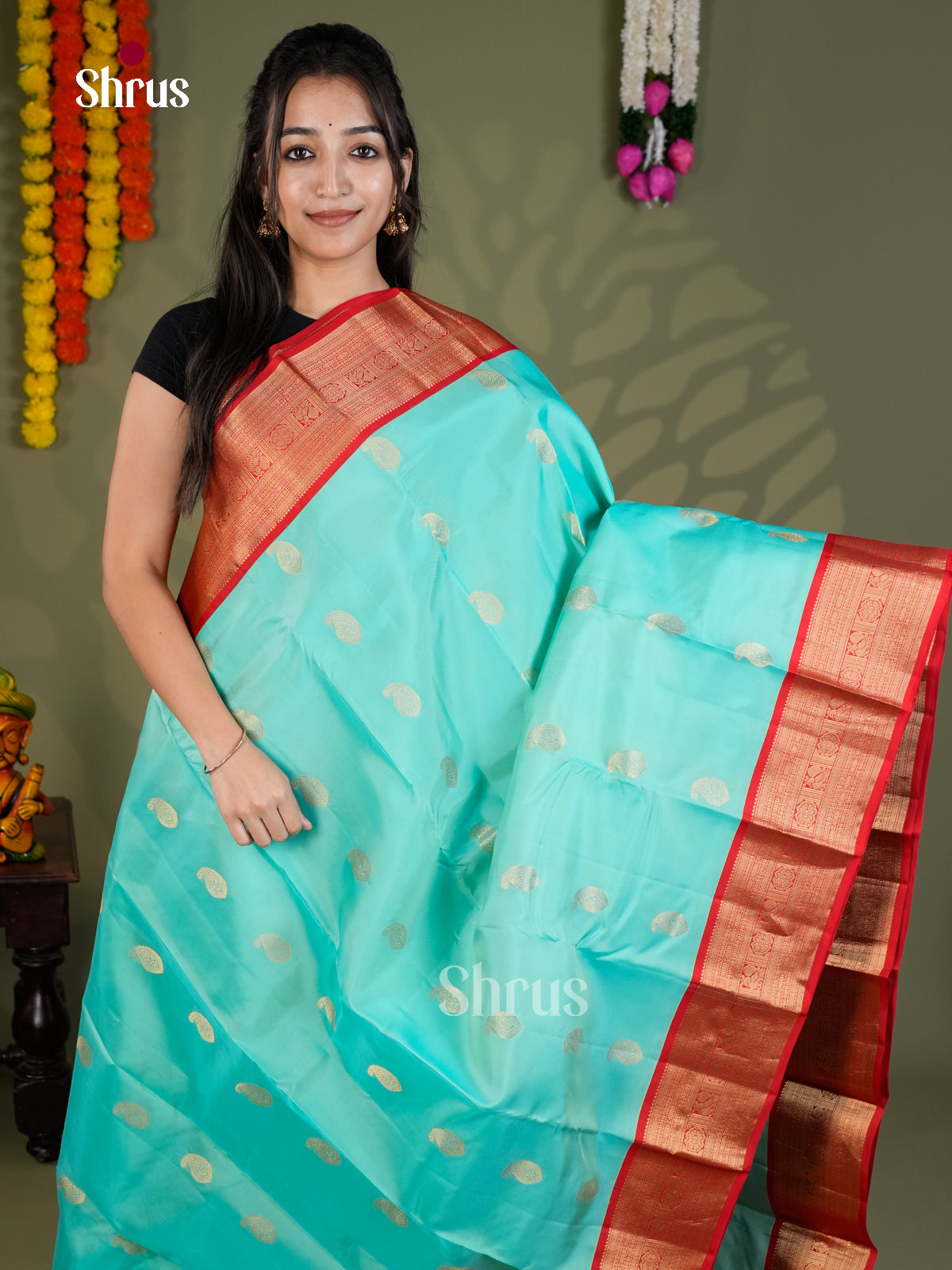 Sky Blue & red  - Kanchipuram-halfpure - Saree- EAS28159 - Shop on Shrus.com