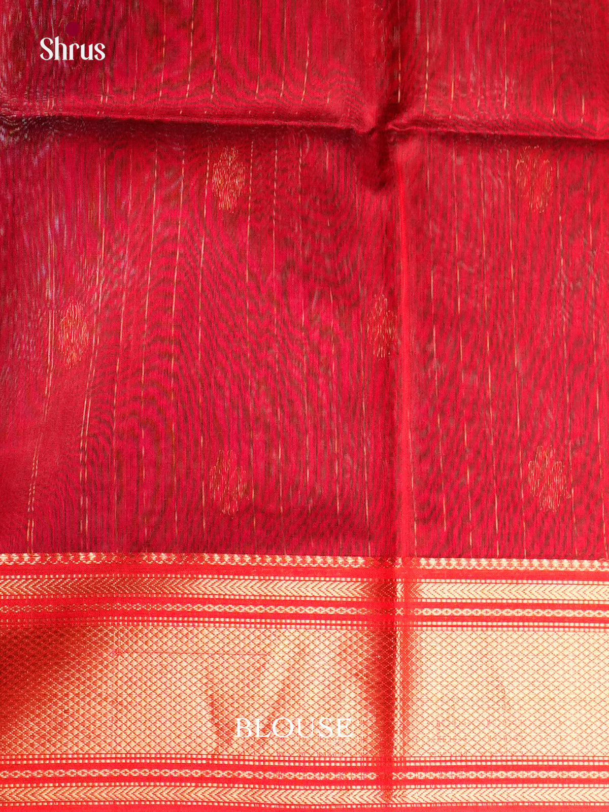 EAS30117 - Maheshwari silkcotton - Saree - Shop on Shrus.com