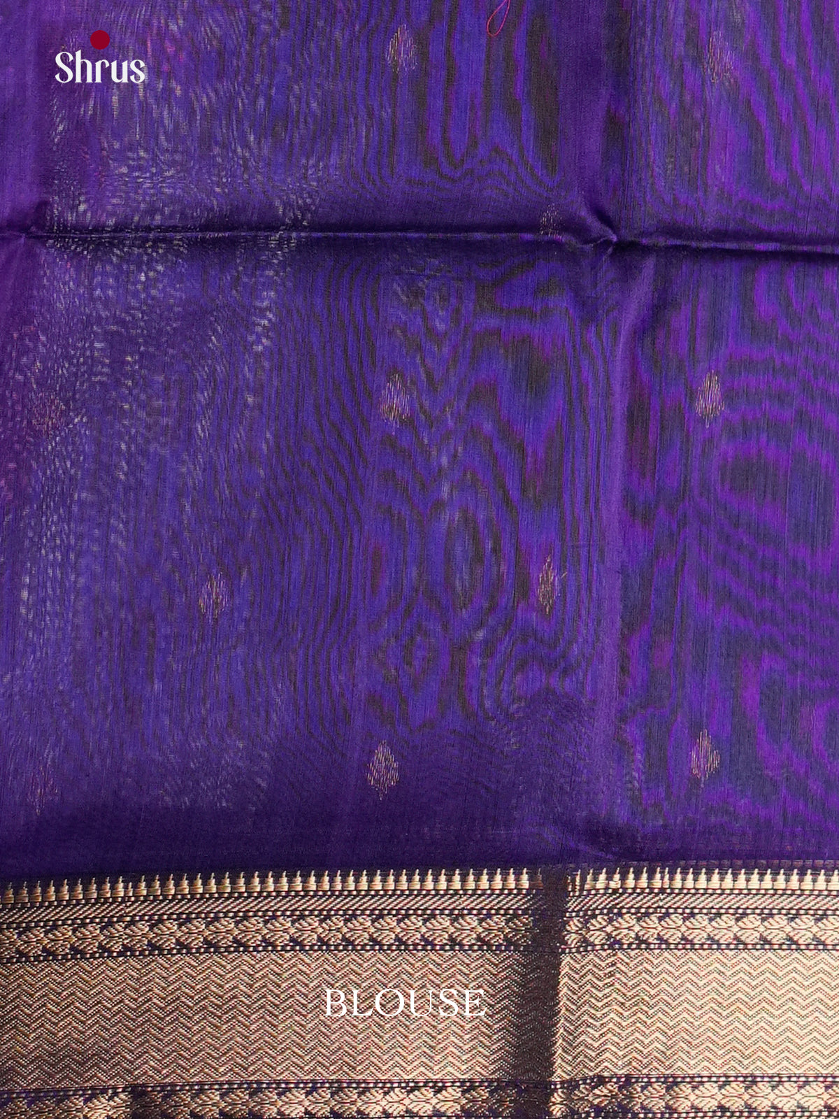 EAS30157 - Maheshwari silkcotton - Saree - Shop on Shrus.com