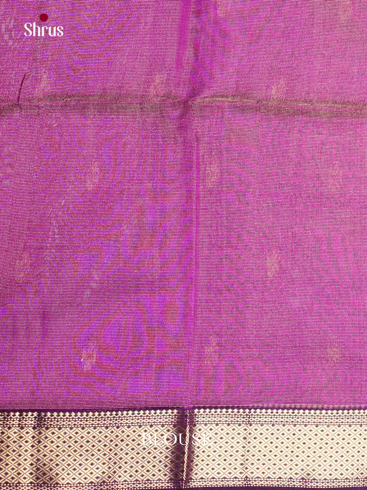 EAS30187 - Maheshwari silkcotton - Saree - Shop on Shrus.com