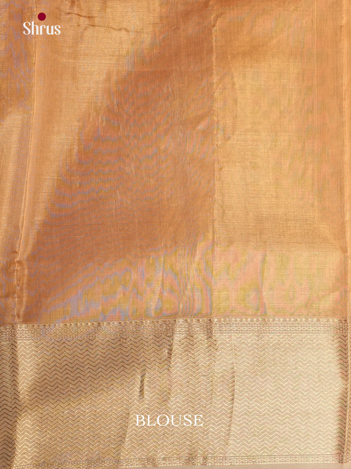 EAS30210 - Maheshwari silkcotton - Saree - Shop on Shrus.com