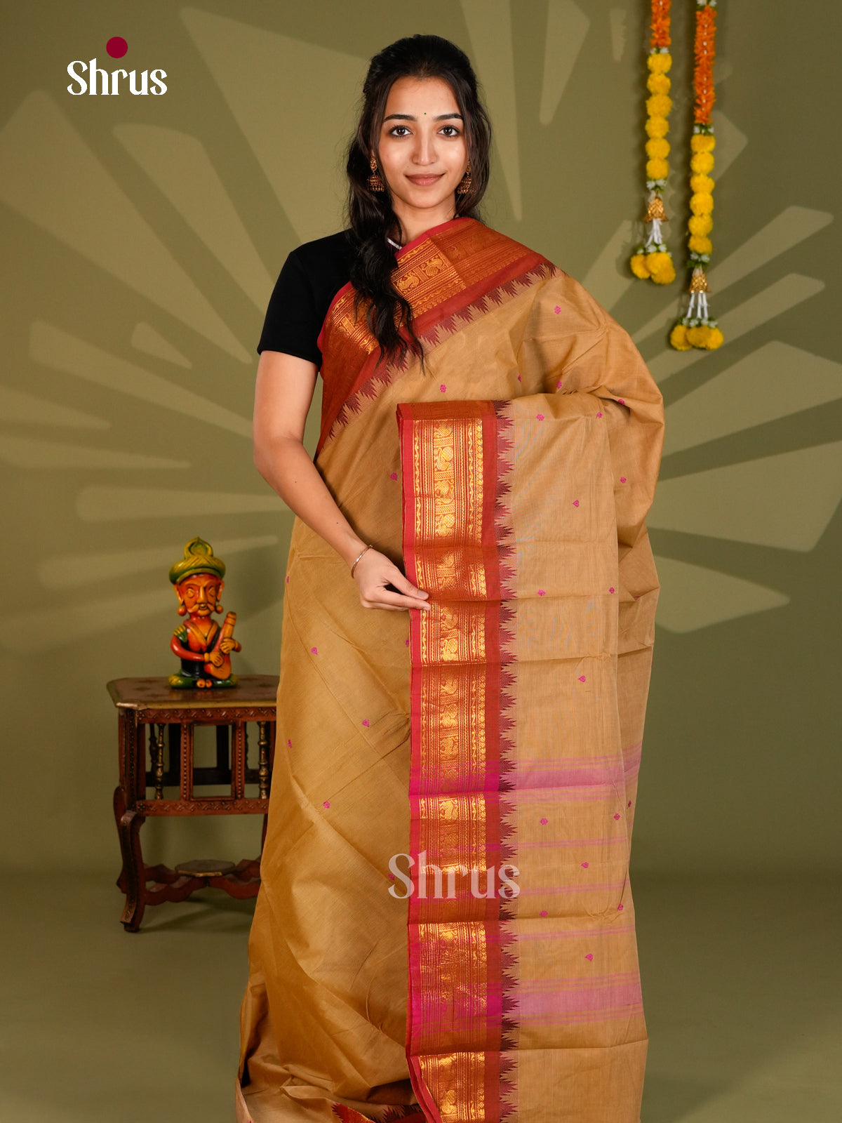 Chettinad Cotton Saree - EAS30741 - Shop on Shrus.com