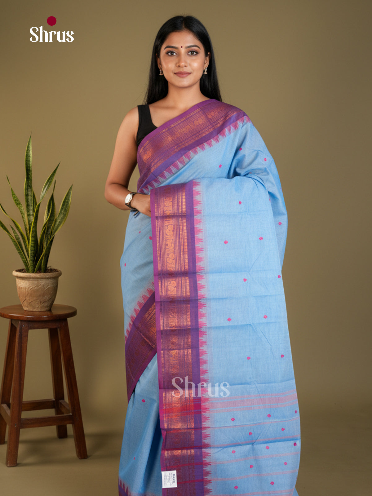 EAS30742 - Chettinad Cotton - Saree - Shop on Shrus.com