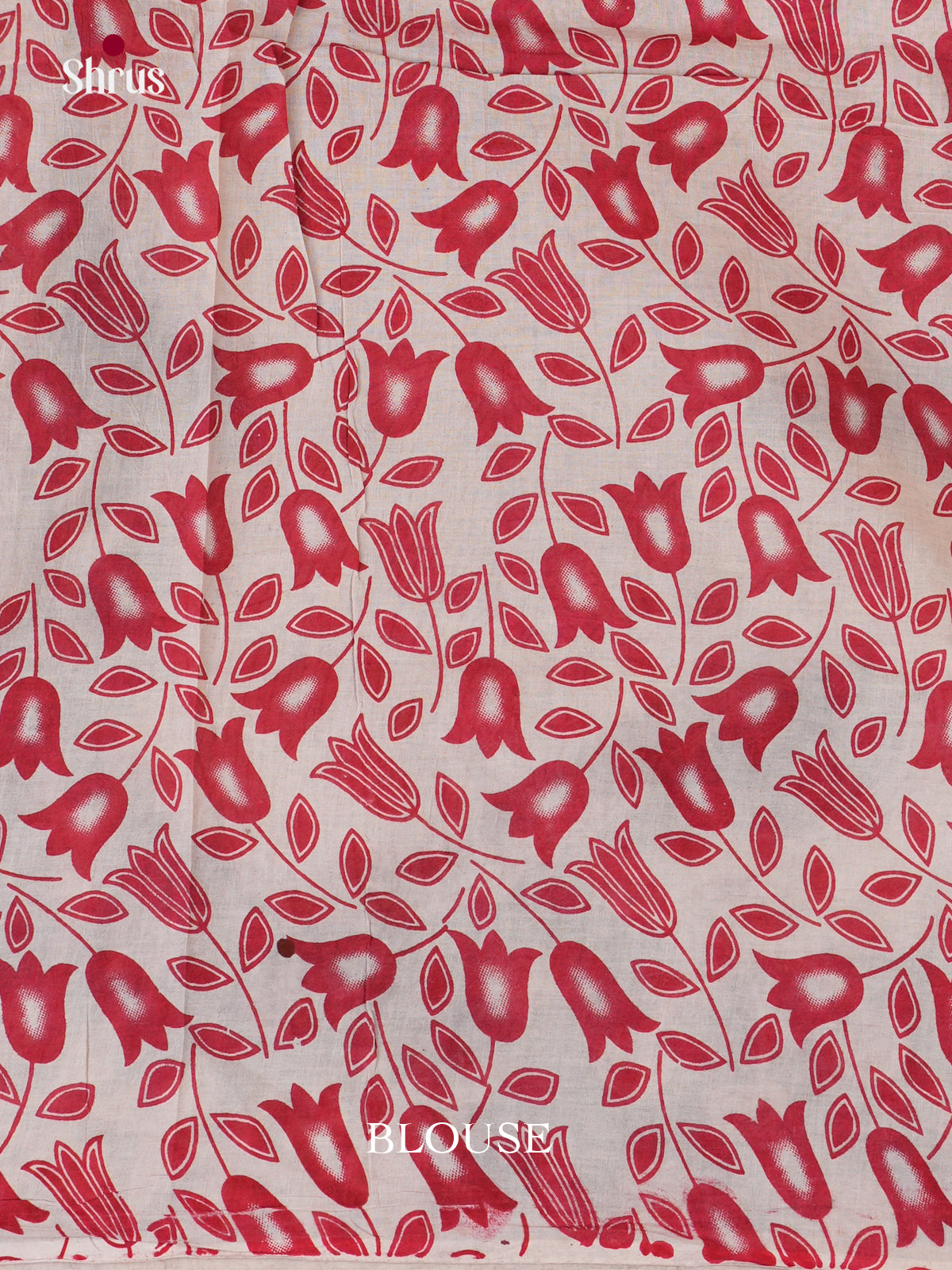 EBS01598 - kalamkari-cotton - Saree - Shop on Shrus.com