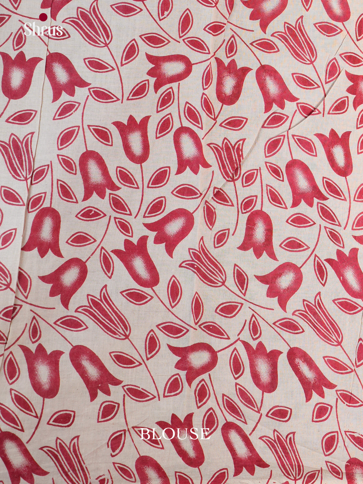EBS01608 - kalamkari-cotton - Saree - Shop on Shrus.com