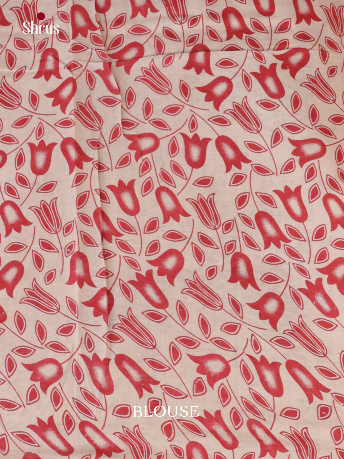 EBS01623 - kalamkari-cotton - Saree - Shop on Shrus.com