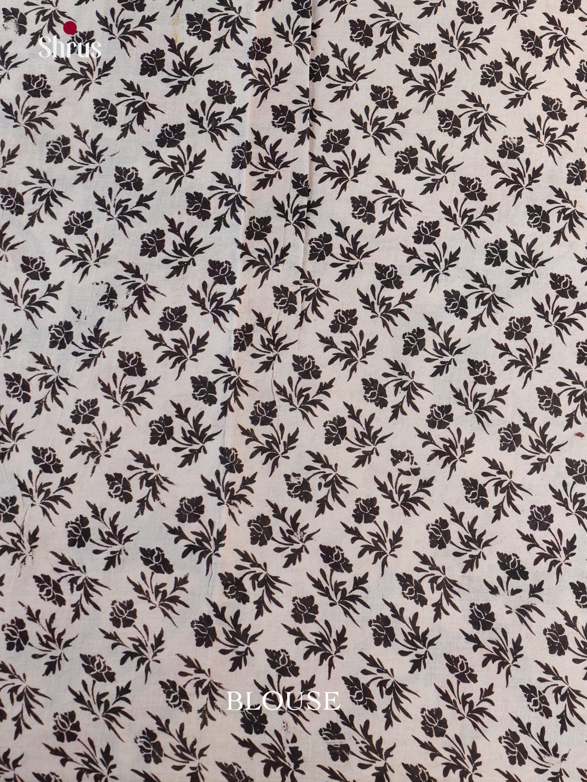 EBS01641 - kalamkari-cotton - Saree - Shop on Shrus.com