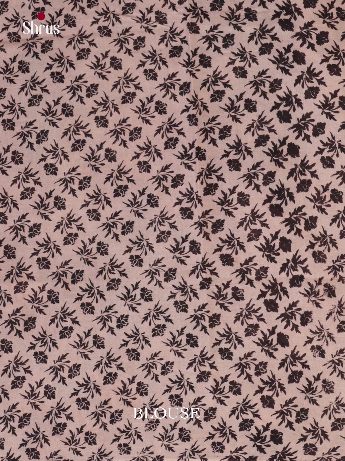 EBS01642 - kalamkari-cotton - Saree - Shop on Shrus.com