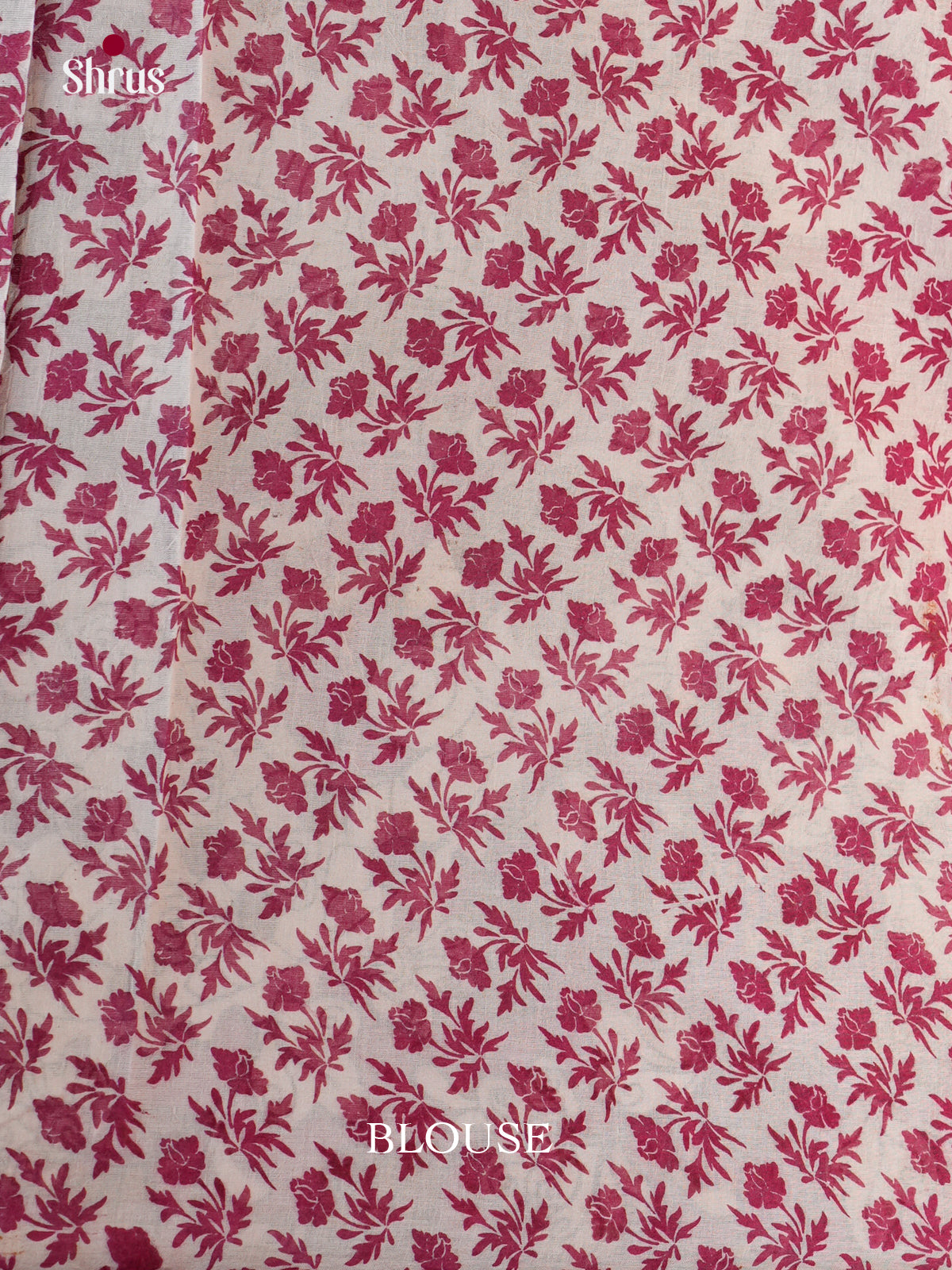 EBS01658 - kalamkari-cotton - Saree - Shop on Shrus.com