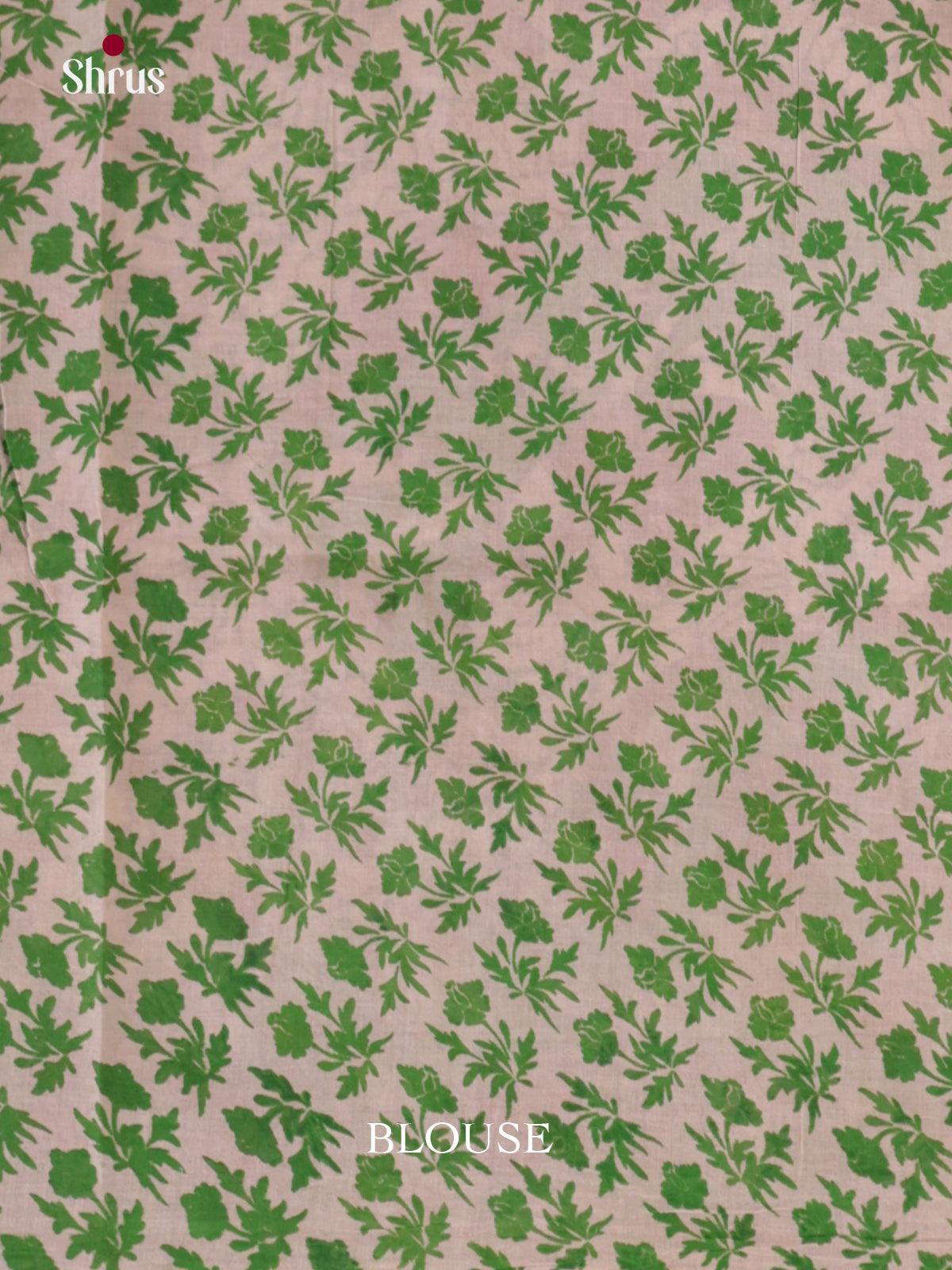 EBS01686 - kalamkari-cotton - Saree - Shop on Shrus.com