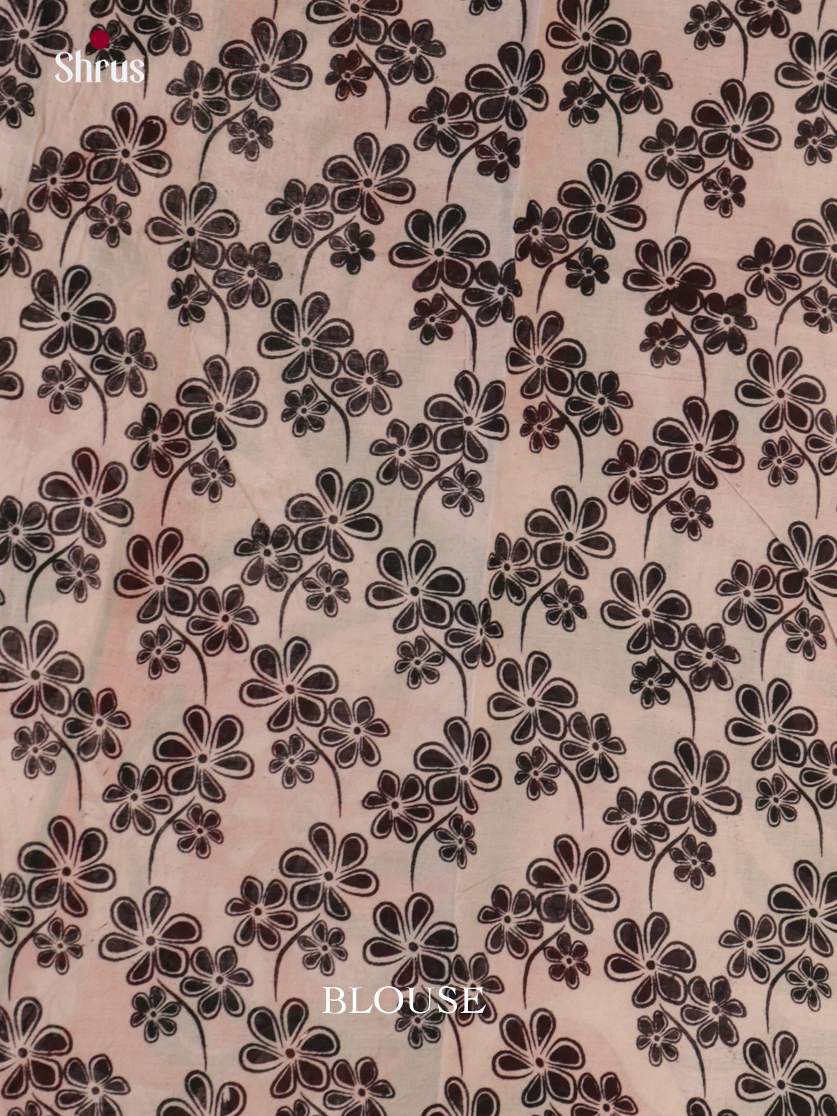 EBS01709 - kalamkari-cotton - Saree - Shop on Shrus.com
