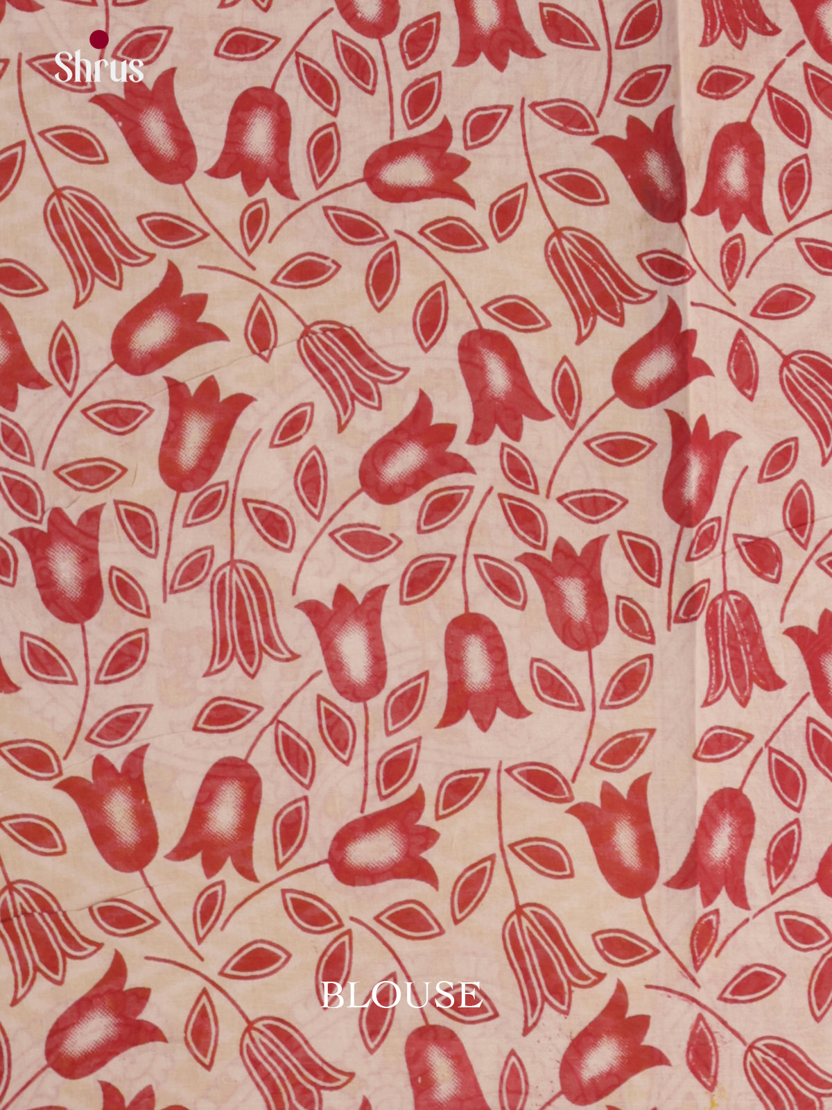 EBS01717 - kalamkari-cotton - Saree - Shop on Shrus.com