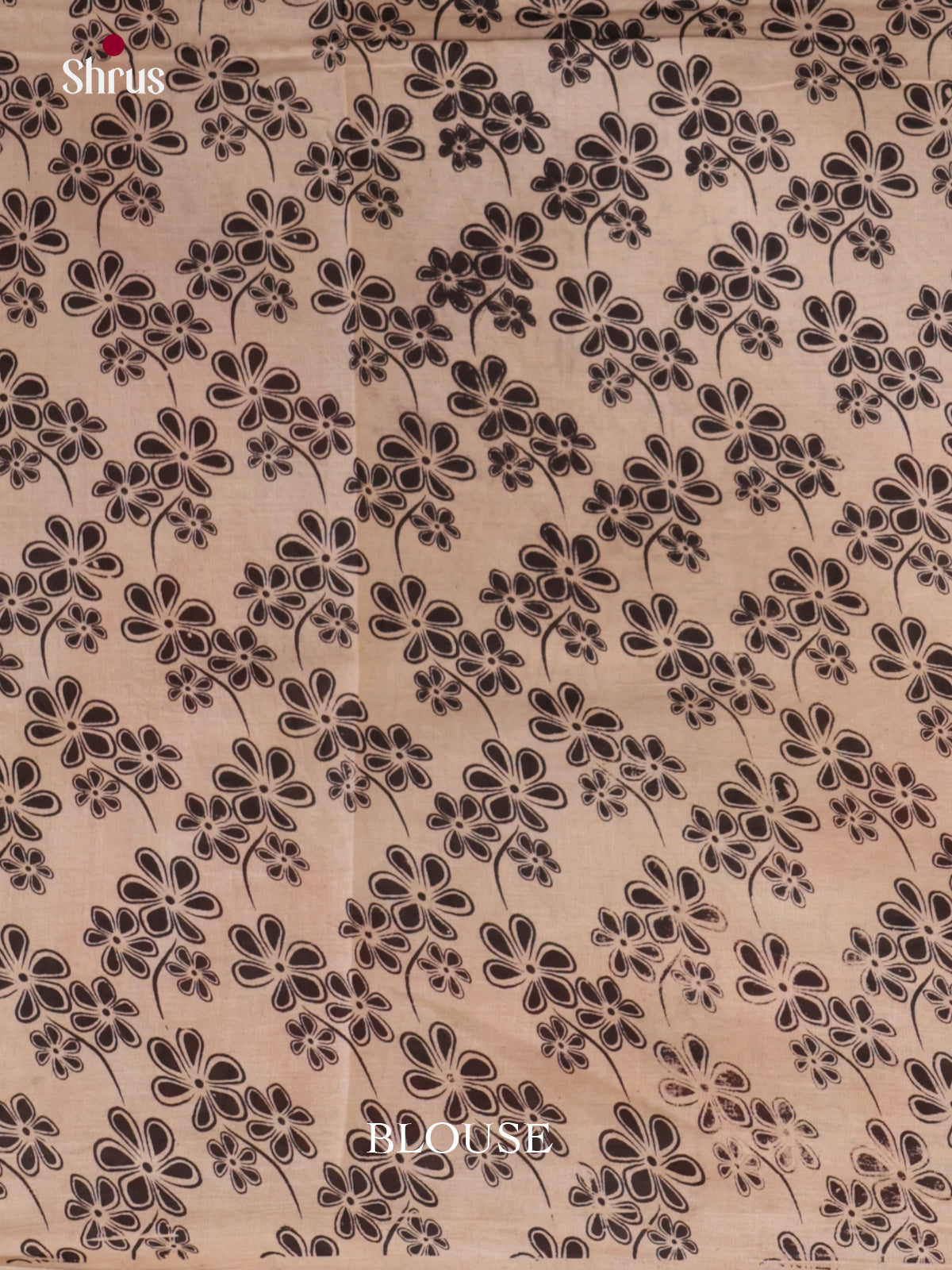 EBS01718 - kalamkari-cotton - Saree - Shop on Shrus.com
