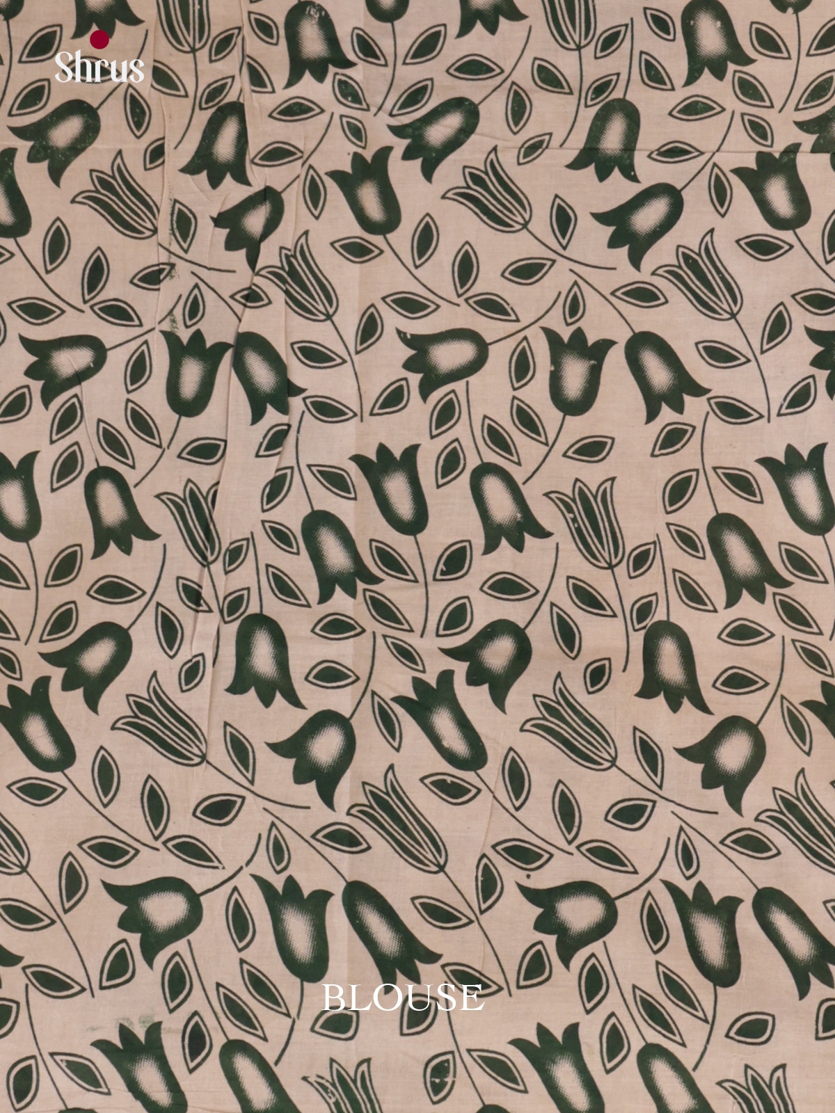 EBS01726 - kalamkari-cotton - Saree - Shop on Shrus.com