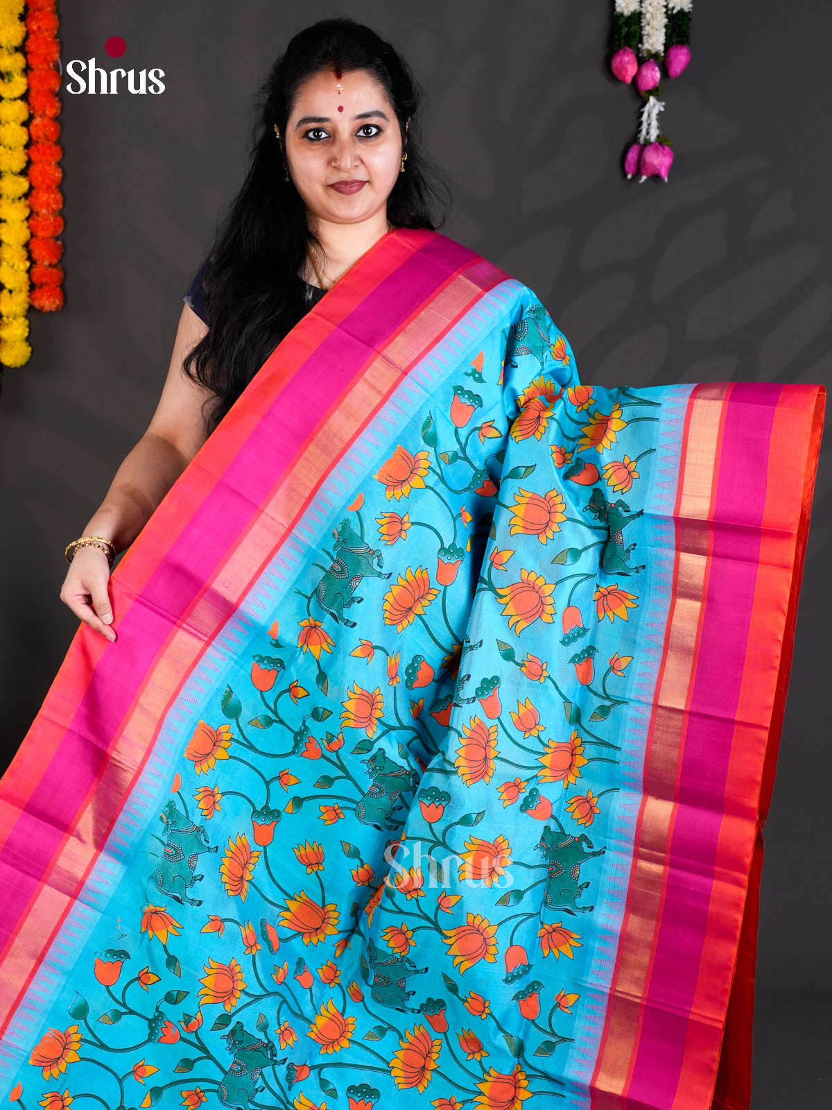 EBS01785 - Hindolam - Saree - Shop on Shrus.com