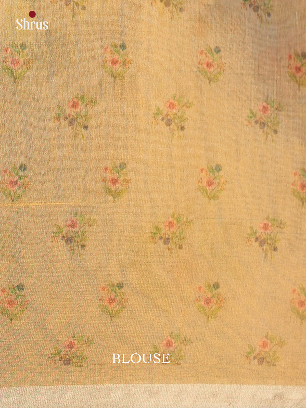 Semi Tissue Print Saree - EBS05058 - Shop on Shrus.com