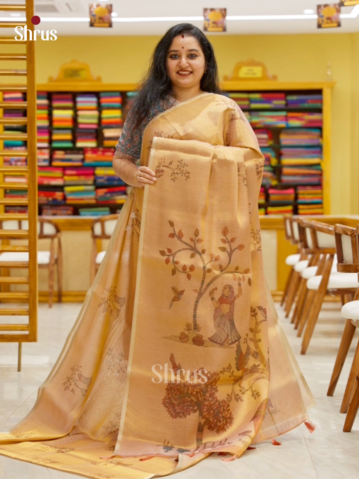 Semi Tissue Print Saree - EBS05060