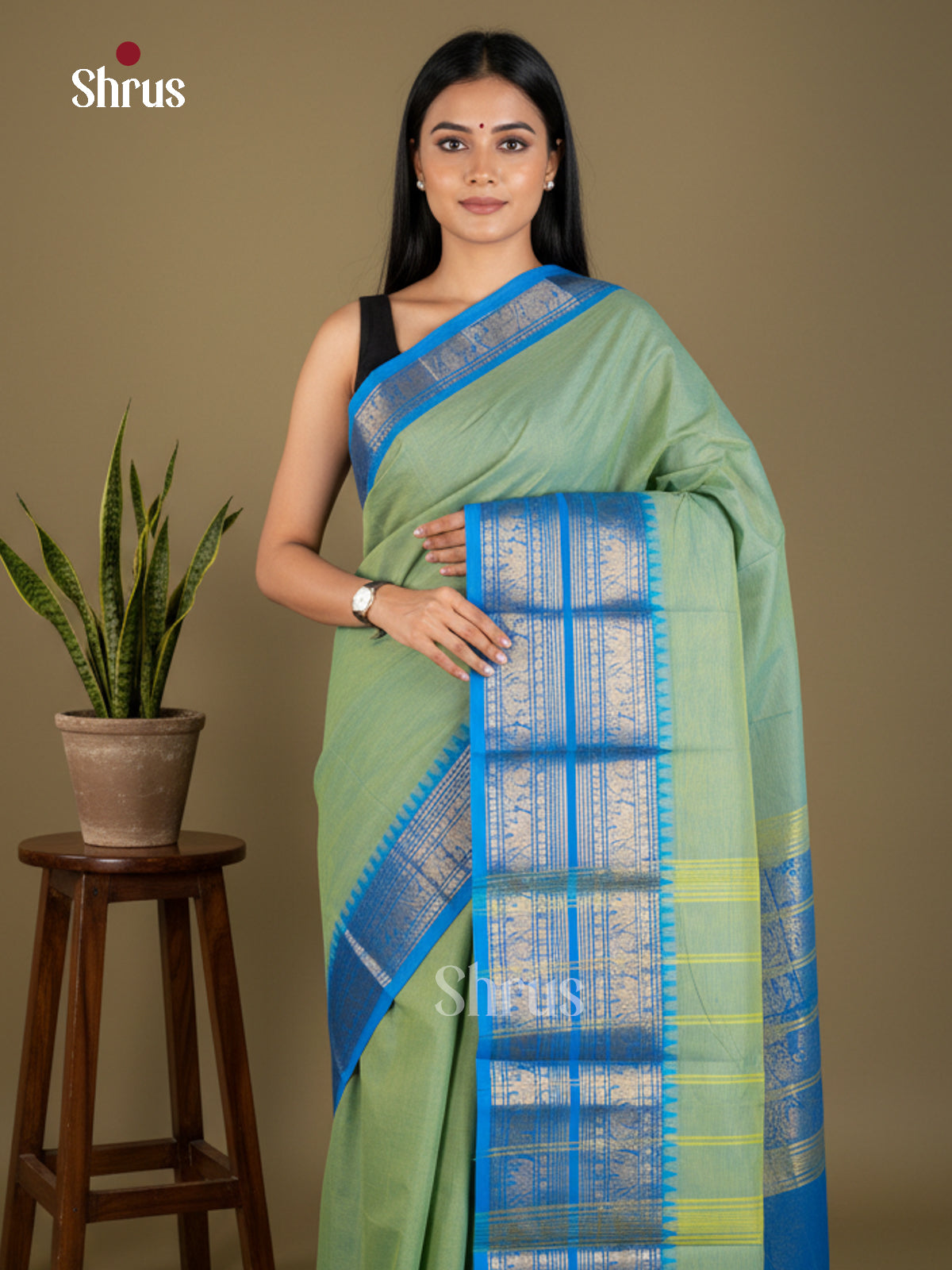 Pista Green & Blue - Chettinad Cotton - Saree- EBS06114 - Shop on Shrus.com