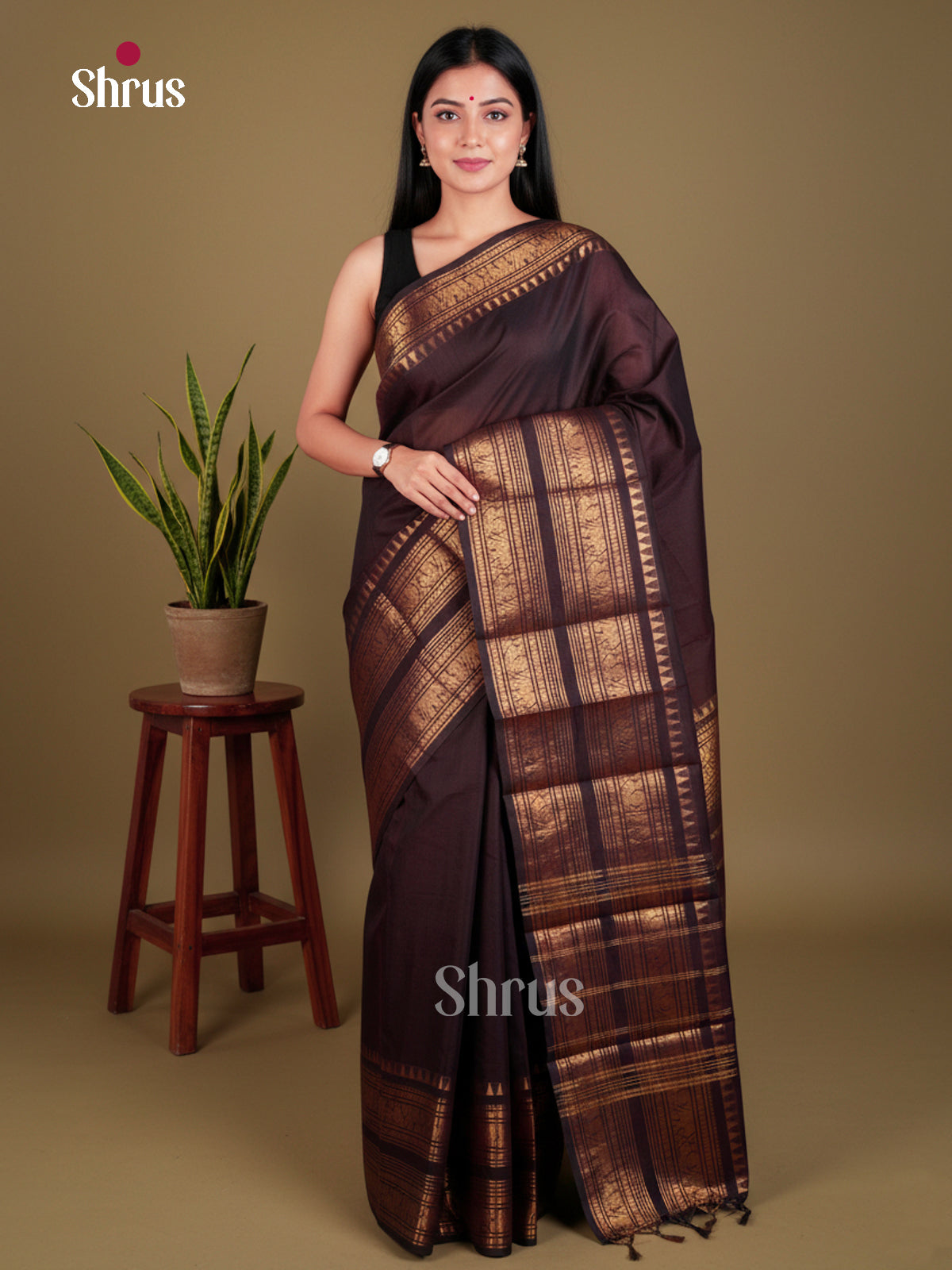 Coffee Brown  - Chettinad Cotton - Saree- EBS06116 - Shop on Shrus.com