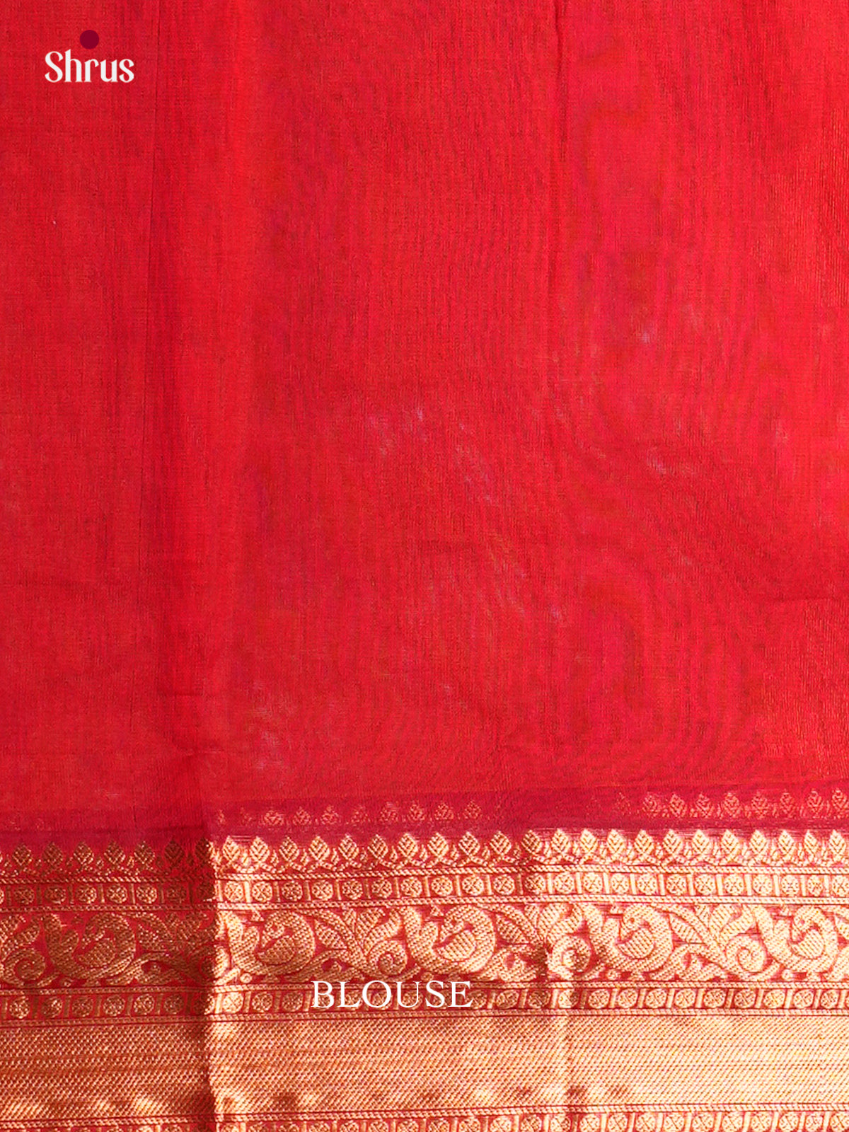 Silk Cotton Saree - EBS21108 - Shop on Shrus.com