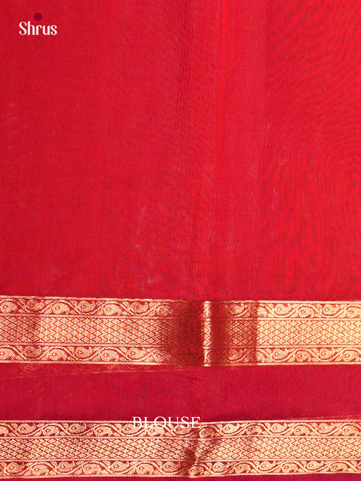 Silk Cotton Saree - EBS21129 - Shop on Shrus.com