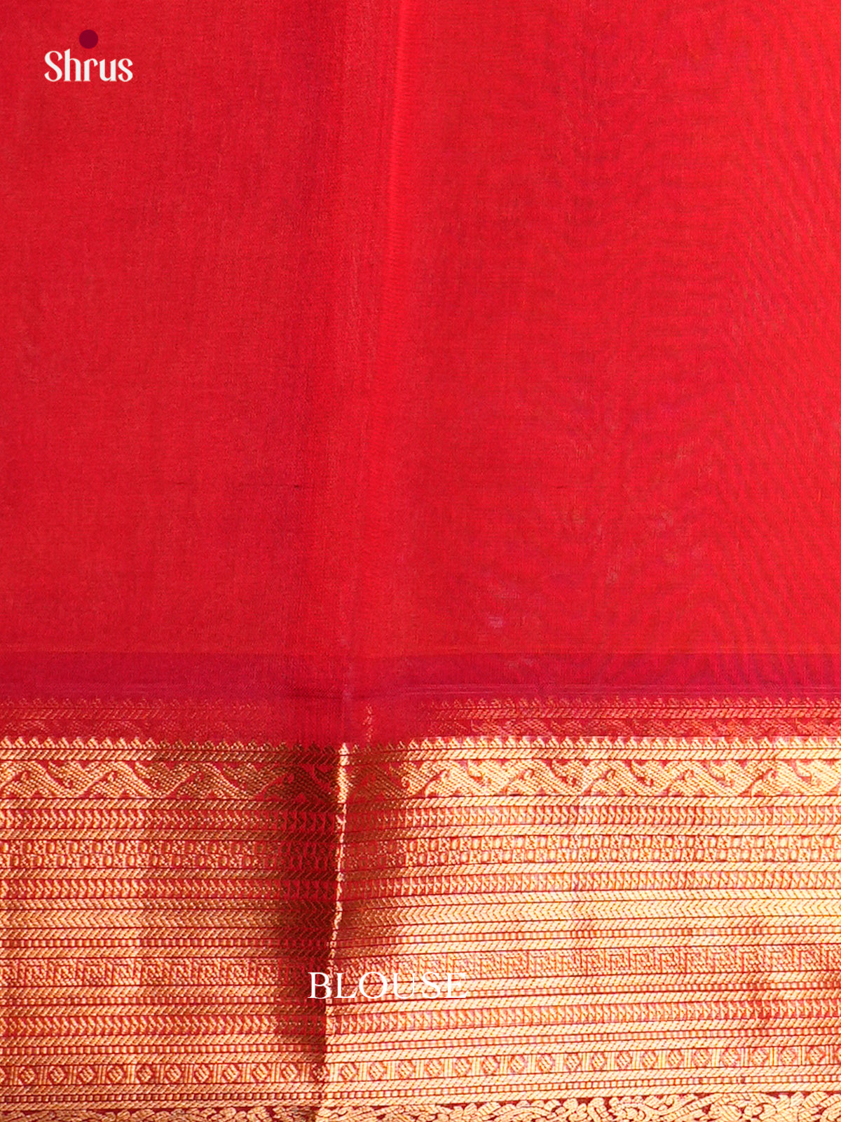 Silk Cotton Saree - EBS21136 - Shop on Shrus.com