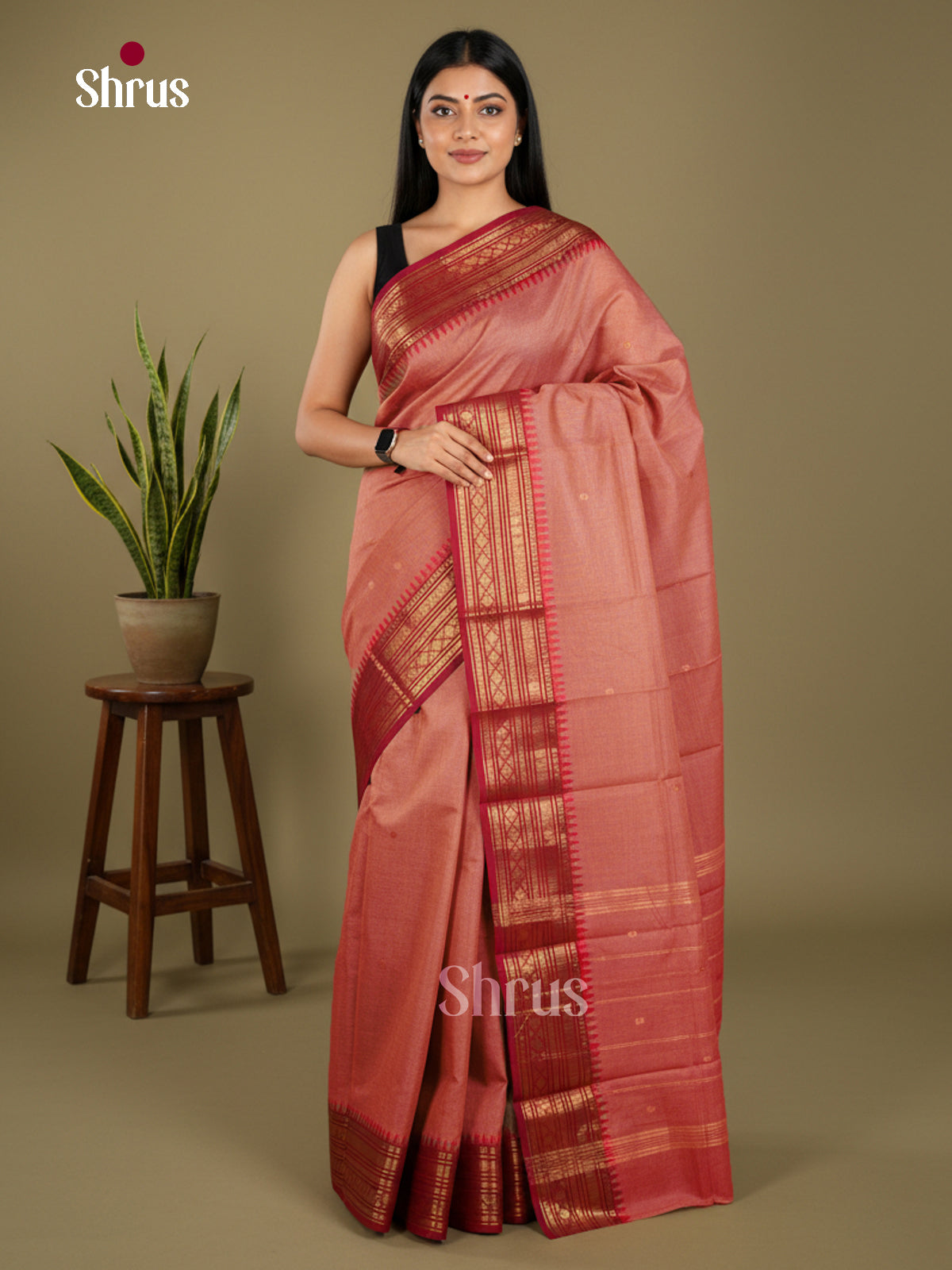 Chettinad Cotton Saree - EBS21150 - Shop on Shrus.com